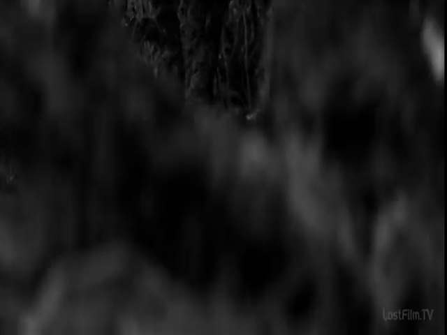 4 сезон 5 кадр 3